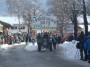 Faschingszug 2013